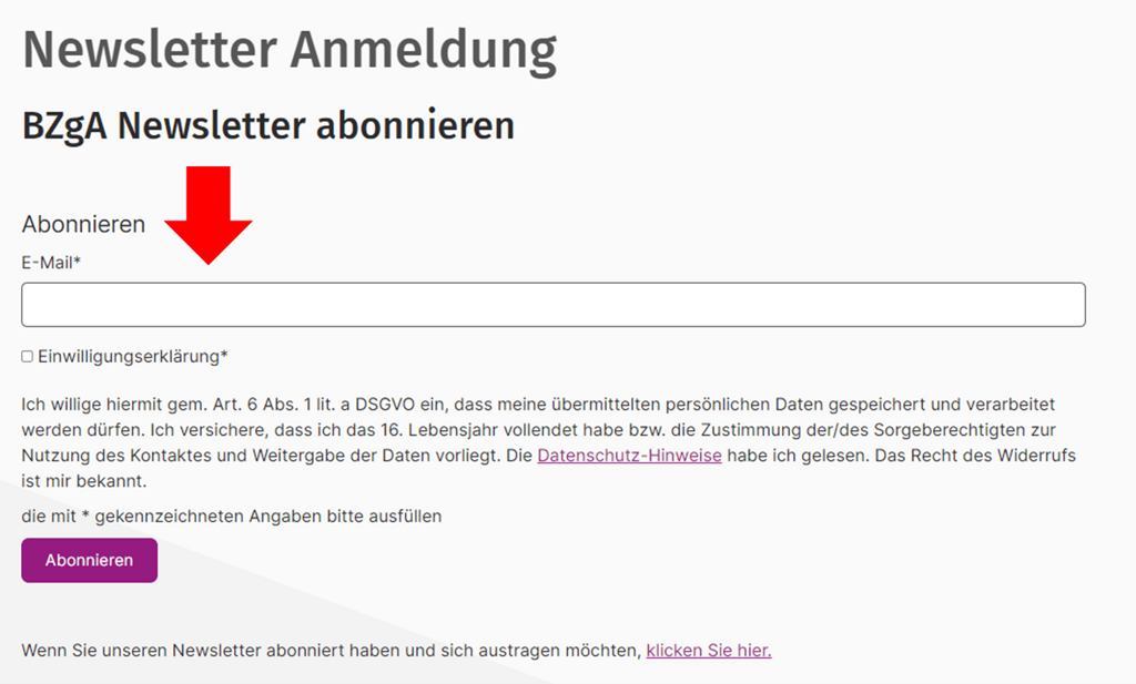 Foto der Internetseite. Roter Pfeil zeigt das Feld für die E-Mail-Adresse.